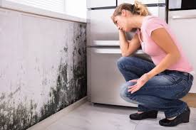 Best Real Estate Mold Inspection  in Iselin, NJ